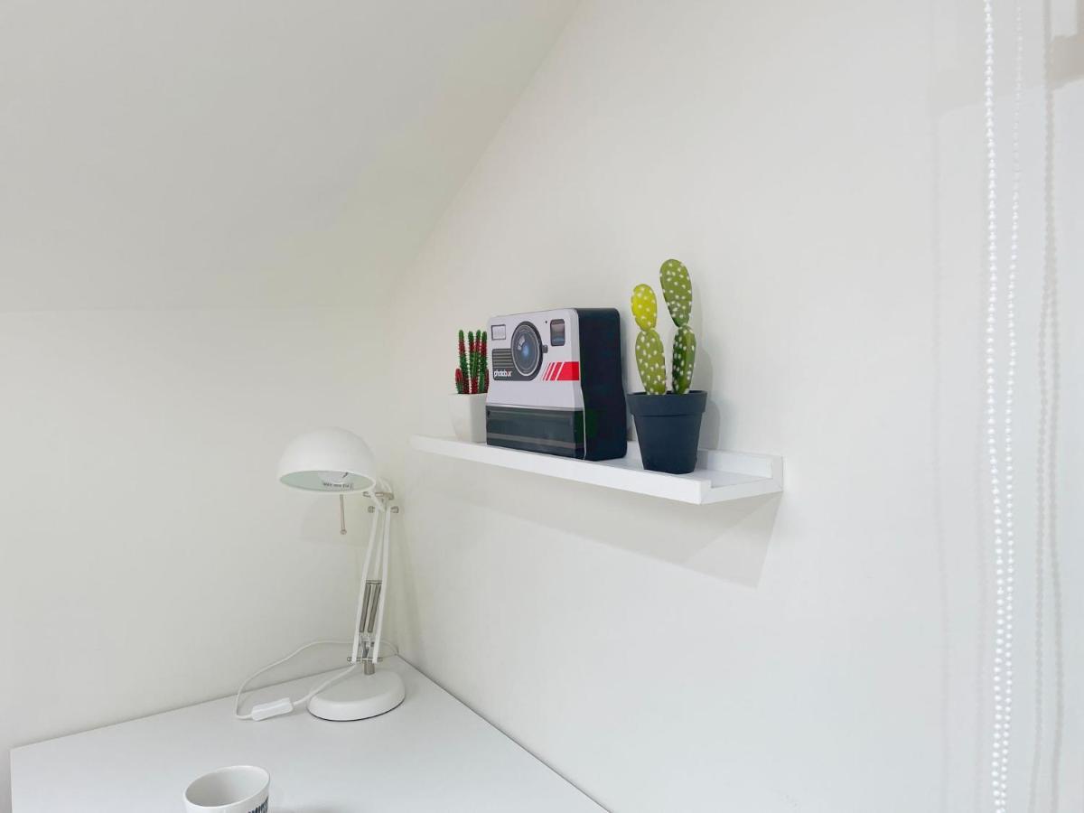 Apartamento Milo Ordono Леон Екстер'єр фото